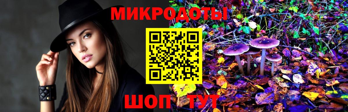 Самара  Галлюциногенные грибы прущие грибы  Вход с VPN  Галлюциногенные грибы Cubensis 
